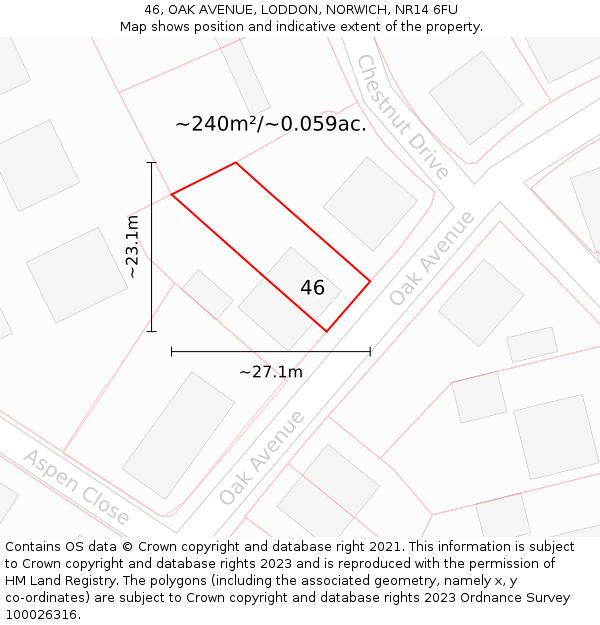 46, OAK AVENUE, LODDON, NORWICH, NR14 6FU: Plot and title map