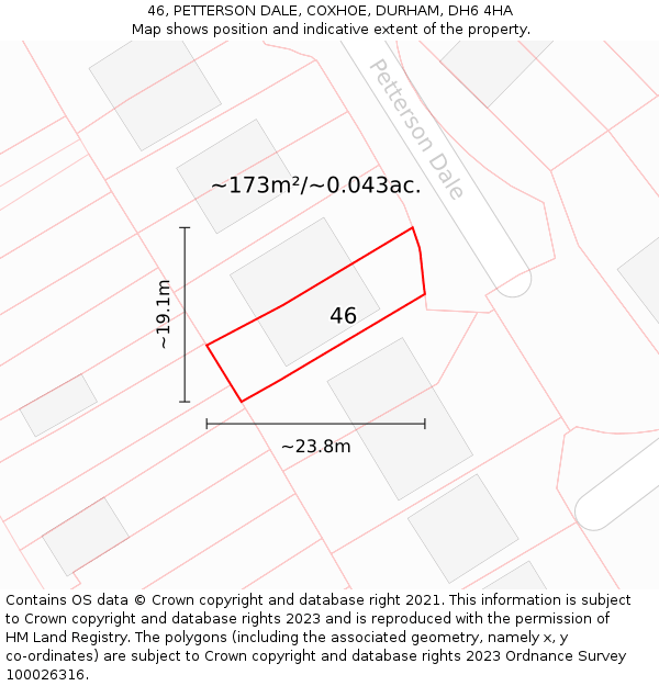 46, PETTERSON DALE, COXHOE, DURHAM, DH6 4HA: Plot and title map