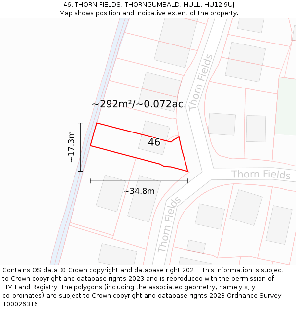 46, THORN FIELDS, THORNGUMBALD, HULL, HU12 9UJ: Plot and title map