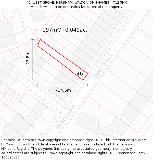 46, WEST GROVE, HERSHAM, WALTON-ON-THAMES, KT12 5NX: Plot and title map