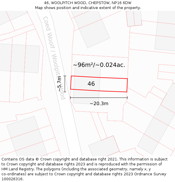 46, WOOLPITCH WOOD, CHEPSTOW, NP16 6DW: Plot and title map