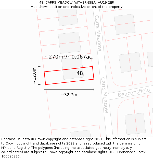 48, CARRS MEADOW, WITHERNSEA, HU19 2ER: Plot and title map