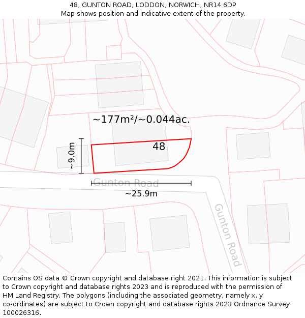 48, GUNTON ROAD, LODDON, NORWICH, NR14 6DP: Plot and title map