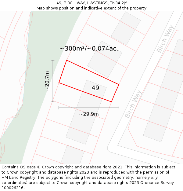 49, BIRCH WAY, HASTINGS, TN34 2JY: Plot and title map