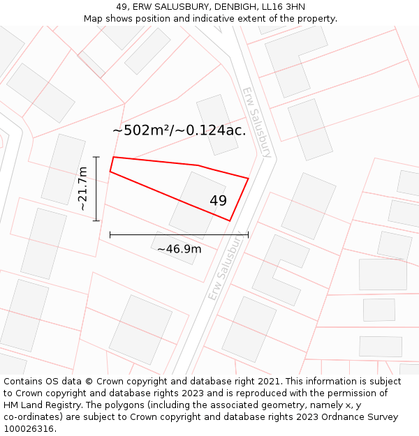 49, ERW SALUSBURY, DENBIGH, LL16 3HN: Plot and title map