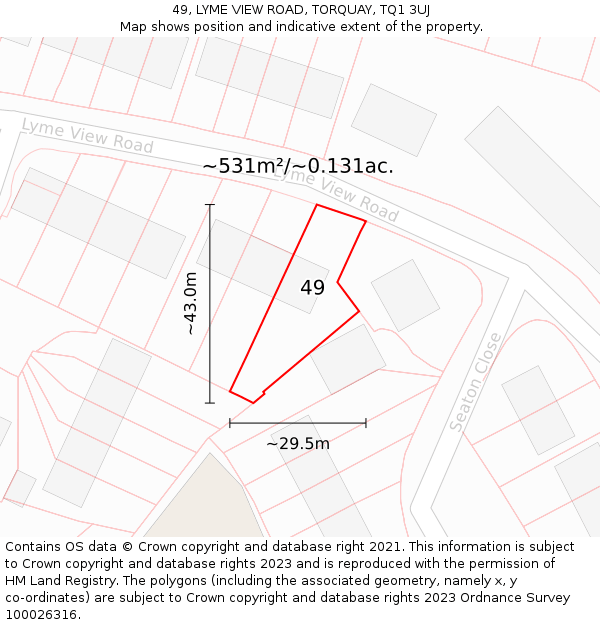 49, LYME VIEW ROAD, TORQUAY, TQ1 3UJ: Plot and title map