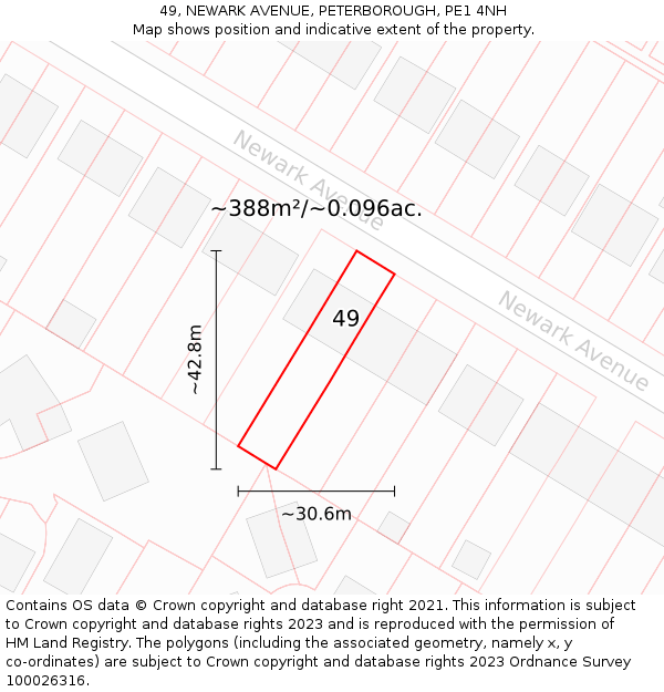 49, NEWARK AVENUE, PETERBOROUGH, PE1 4NH: Plot and title map