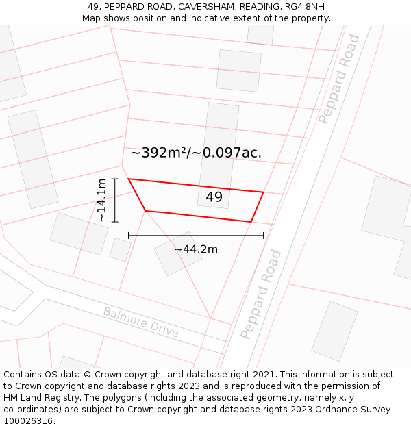 49, PEPPARD ROAD, CAVERSHAM, READING, RG4 8NH: Plot and title map