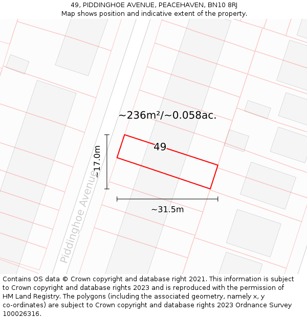 49, PIDDINGHOE AVENUE, PEACEHAVEN, BN10 8RJ: Plot and title map