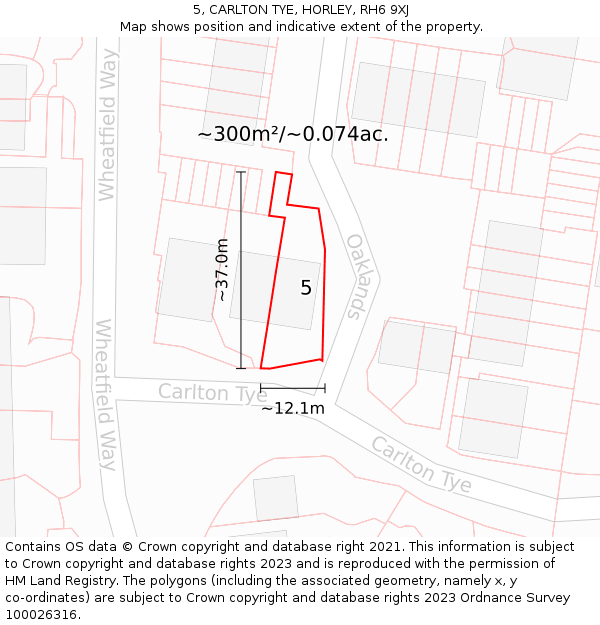 5, CARLTON TYE, HORLEY, RH6 9XJ: Plot and title map