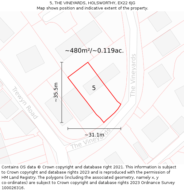 5, THE VINEYARDS, HOLSWORTHY, EX22 6JG: Plot and title map