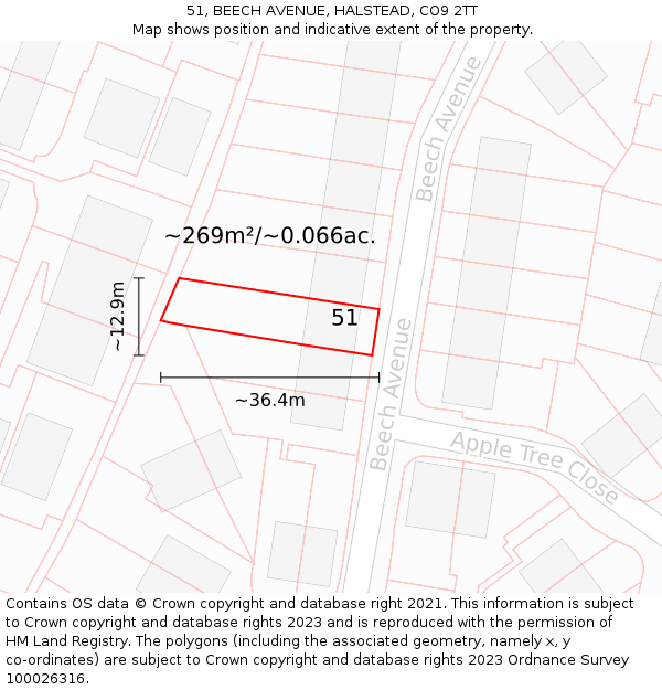 51, BEECH AVENUE, HALSTEAD, CO9 2TT: Plot and title map