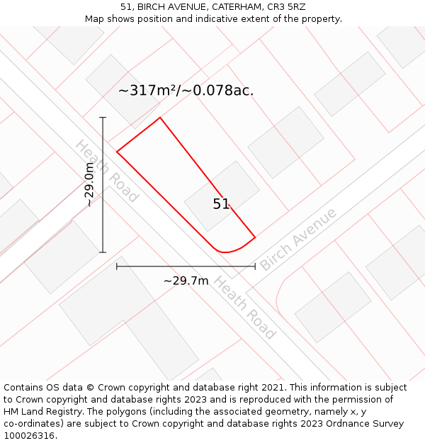 51, BIRCH AVENUE, CATERHAM, CR3 5RZ: Plot and title map