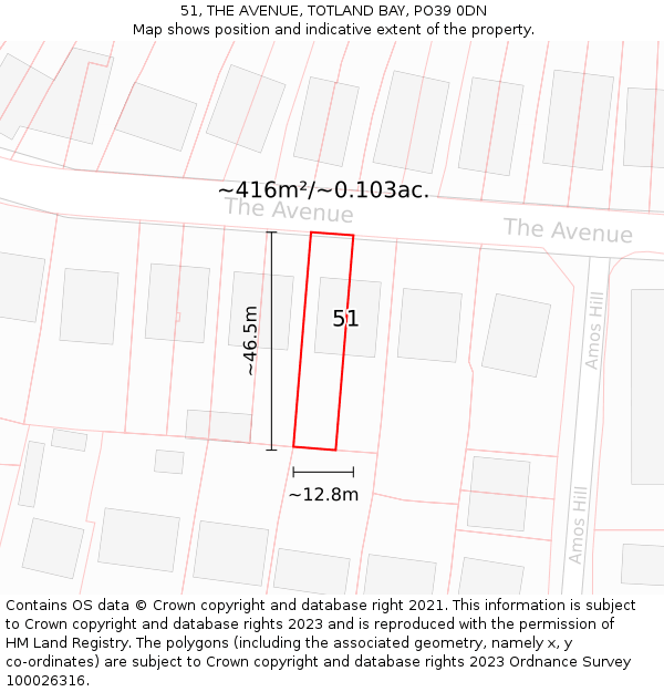 51, THE AVENUE, TOTLAND BAY, PO39 0DN: Plot and title map