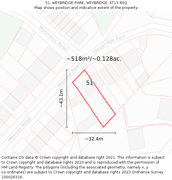 51, WEYBRIDGE PARK, WEYBRIDGE, KT13 8SQ: Plot and title map