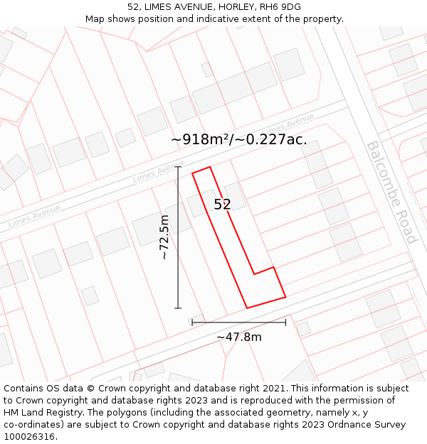 52, LIMES AVENUE, HORLEY, RH6 9DG: Plot and title map