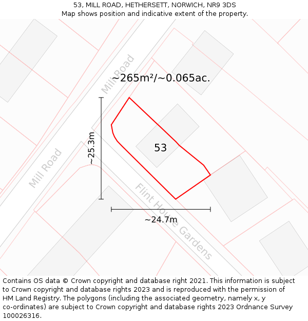 53, MILL ROAD, HETHERSETT, NORWICH, NR9 3DS: Plot and title map