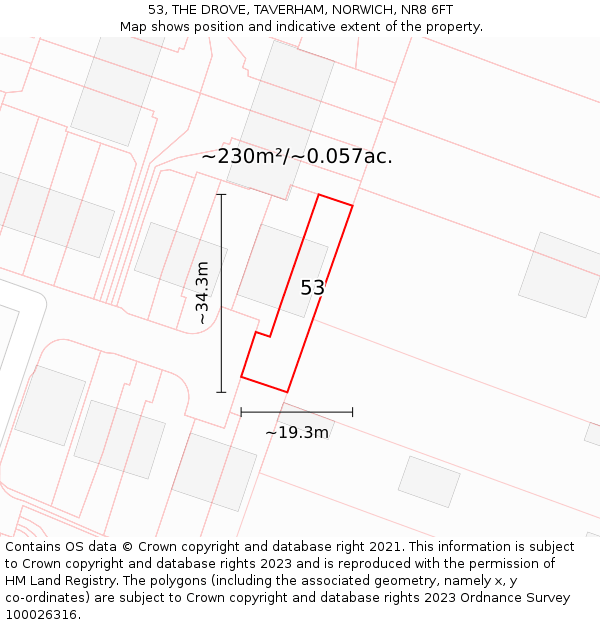53, THE DROVE, TAVERHAM, NORWICH, NR8 6FT: Plot and title map