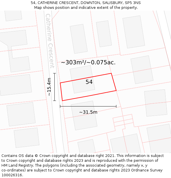 54, CATHERINE CRESCENT, DOWNTON, SALISBURY, SP5 3NS: Plot and title map