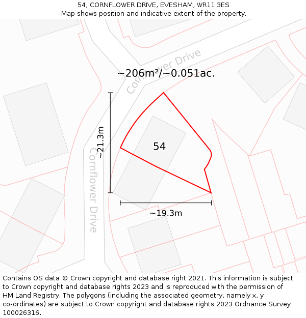 54, CORNFLOWER DRIVE, EVESHAM, WR11 3ES: Plot and title map