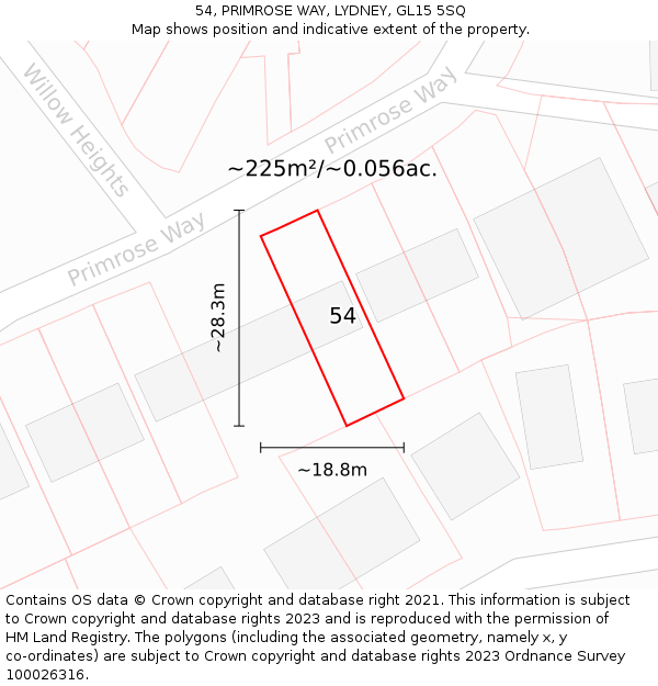 54, PRIMROSE WAY, LYDNEY, GL15 5SQ: Plot and title map