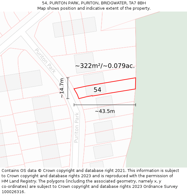 54, PURITON PARK, PURITON, BRIDGWATER, TA7 8BH: Plot and title map