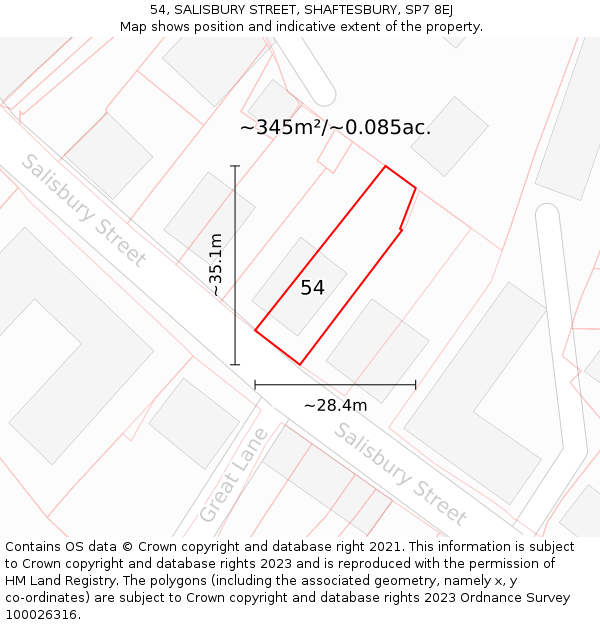 54, SALISBURY STREET, SHAFTESBURY, SP7 8EJ: Plot and title map