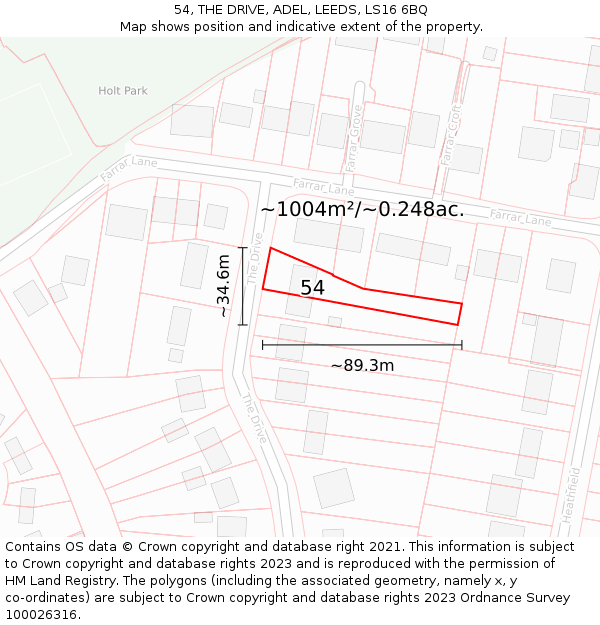 54, THE DRIVE, ADEL, LEEDS, LS16 6BQ: Plot and title map