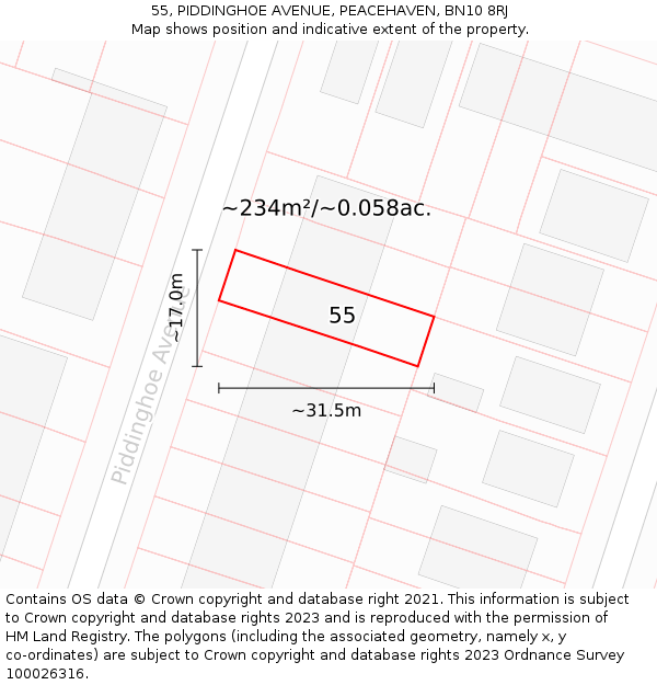 55, PIDDINGHOE AVENUE, PEACEHAVEN, BN10 8RJ: Plot and title map