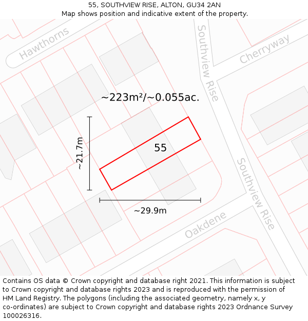 55, SOUTHVIEW RISE, ALTON, GU34 2AN: Plot and title map