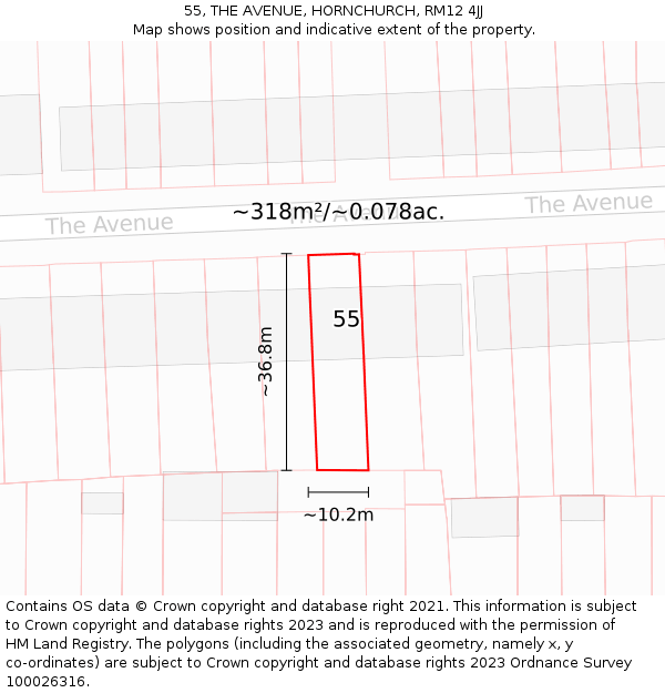 55, THE AVENUE, HORNCHURCH, RM12 4JJ: Plot and title map