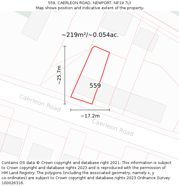 559, CAERLEON ROAD, NEWPORT, NP19 7LY: Plot and title map