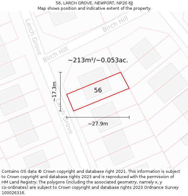56, LARCH GROVE, NEWPORT, NP20 6JJ: Plot and title map