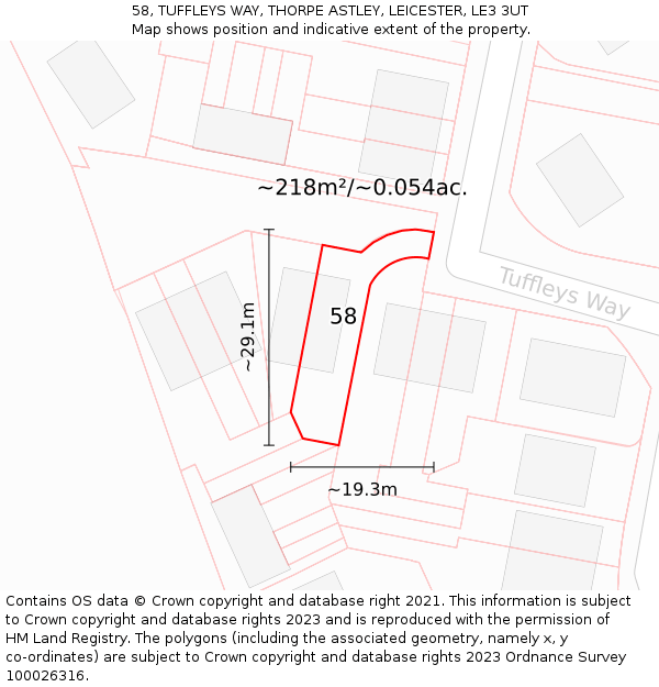 58, TUFFLEYS WAY, THORPE ASTLEY, LEICESTER, LE3 3UT: Plot and title map