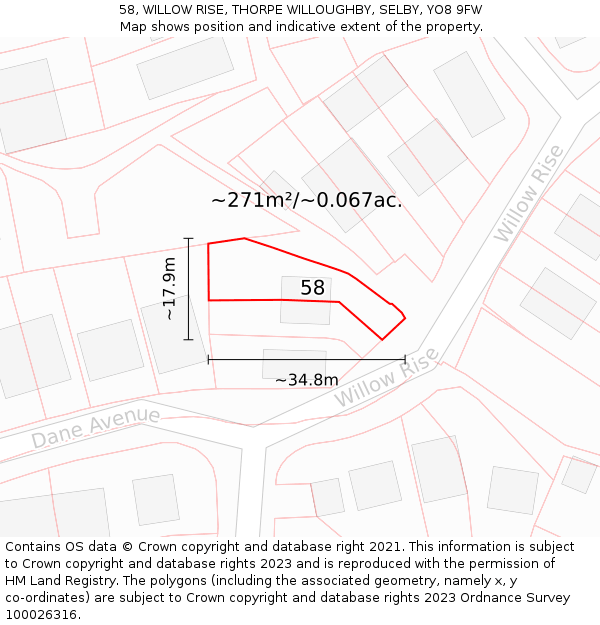 58, WILLOW RISE, THORPE WILLOUGHBY, SELBY, YO8 9FW: Plot and title map