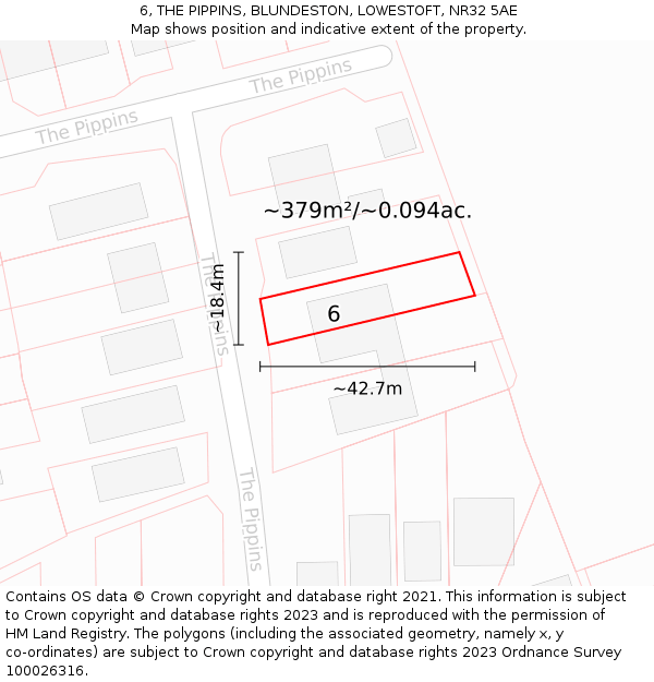 6, THE PIPPINS, BLUNDESTON, LOWESTOFT, NR32 5AE: Plot and title map