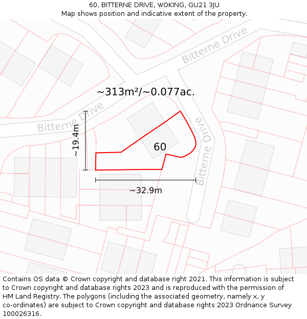 60, BITTERNE DRIVE, WOKING, GU21 3JU: Plot and title map