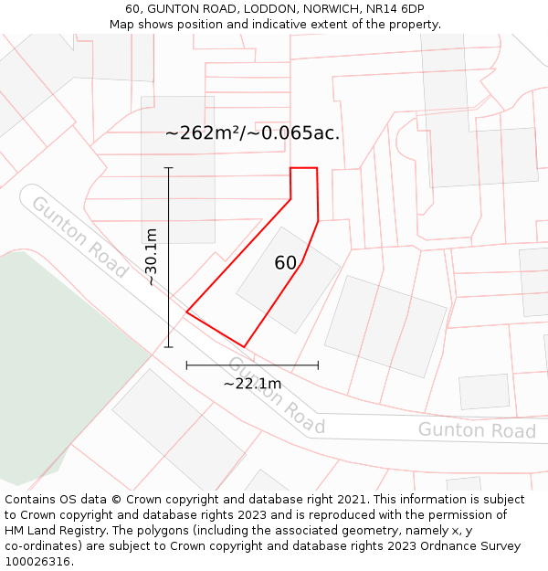 60, GUNTON ROAD, LODDON, NORWICH, NR14 6DP: Plot and title map