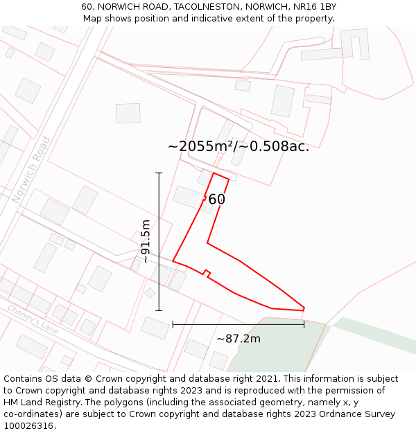 60, NORWICH ROAD, TACOLNESTON, NORWICH, NR16 1BY: Plot and title map