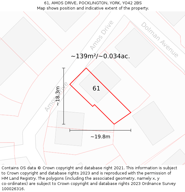 61, AMOS DRIVE, POCKLINGTON, YORK, YO42 2BS: Plot and title map