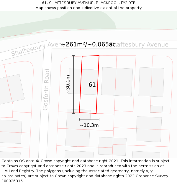 61, SHAFTESBURY AVENUE, BLACKPOOL, FY2 9TR: Plot and title map