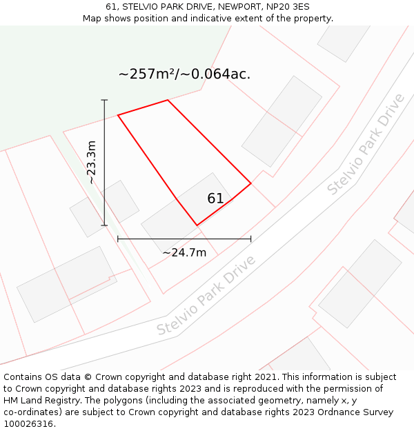 61, STELVIO PARK DRIVE, NEWPORT, NP20 3ES: Plot and title map