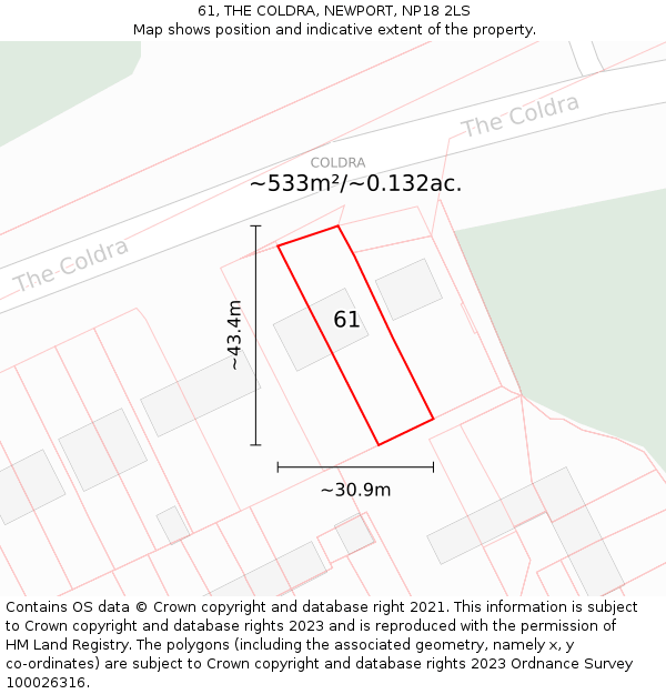 61, THE COLDRA, NEWPORT, NP18 2LS: Plot and title map