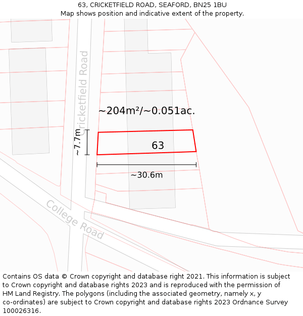 63, CRICKETFIELD ROAD, SEAFORD, BN25 1BU: Plot and title map