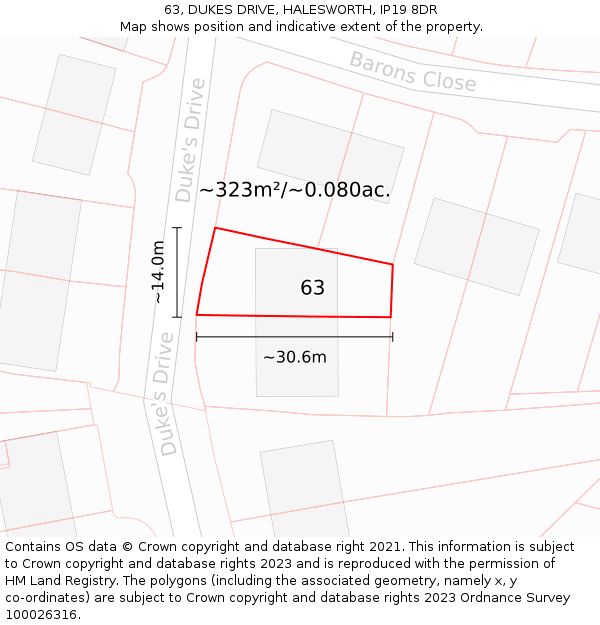 63, DUKES DRIVE, HALESWORTH, IP19 8DR: Plot and title map