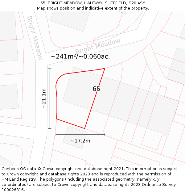 65, BRIGHT MEADOW, HALFWAY, SHEFFIELD, S20 4SY: Plot and title map