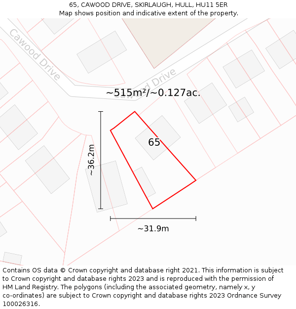 65, CAWOOD DRIVE, SKIRLAUGH, HULL, HU11 5ER: Plot and title map