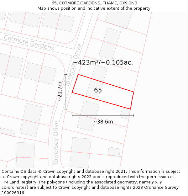 65, COTMORE GARDENS, THAME, OX9 3NB: Plot and title map