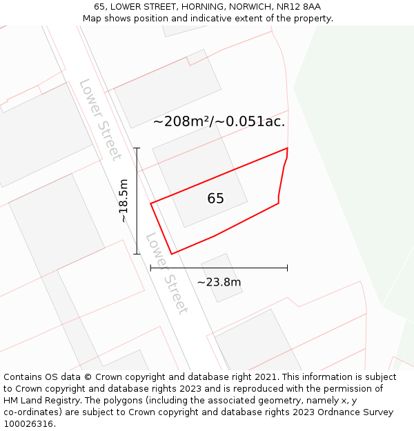 65, LOWER STREET, HORNING, NORWICH, NR12 8AA: Plot and title map