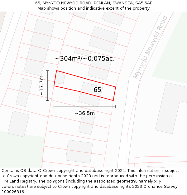 65, MYNYDD NEWYDD ROAD, PENLAN, SWANSEA, SA5 5AE: Plot and title map